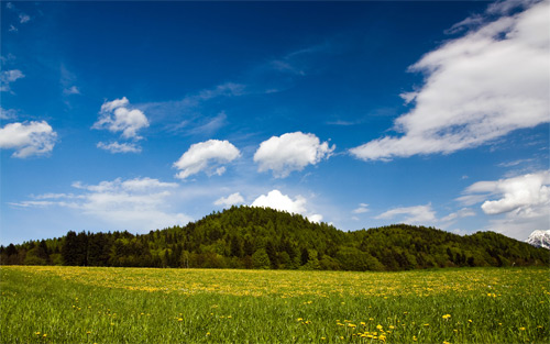 ۲ Spring Nature