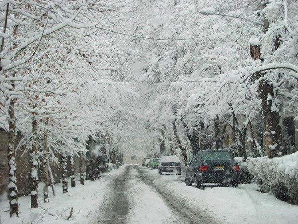 برف در زمستان
